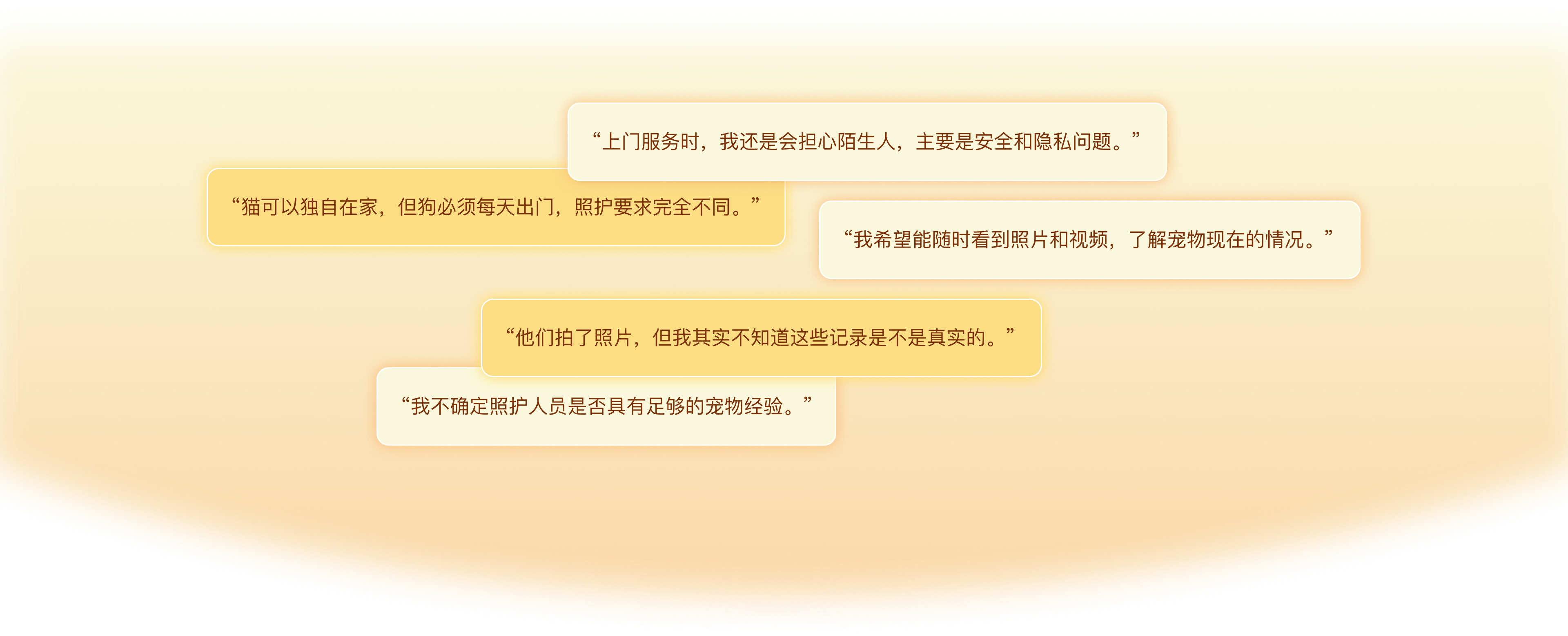宠物主人访谈原话，涉及照护差异、安全隐私、过程反馈、记录真实性和照护者经验